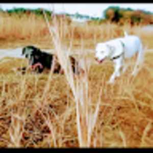 Meet your Posher, Kenneth